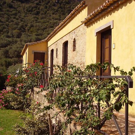 Azienda Agrituristica Biologica Il Querceto Santa Severina Exteriér fotografie