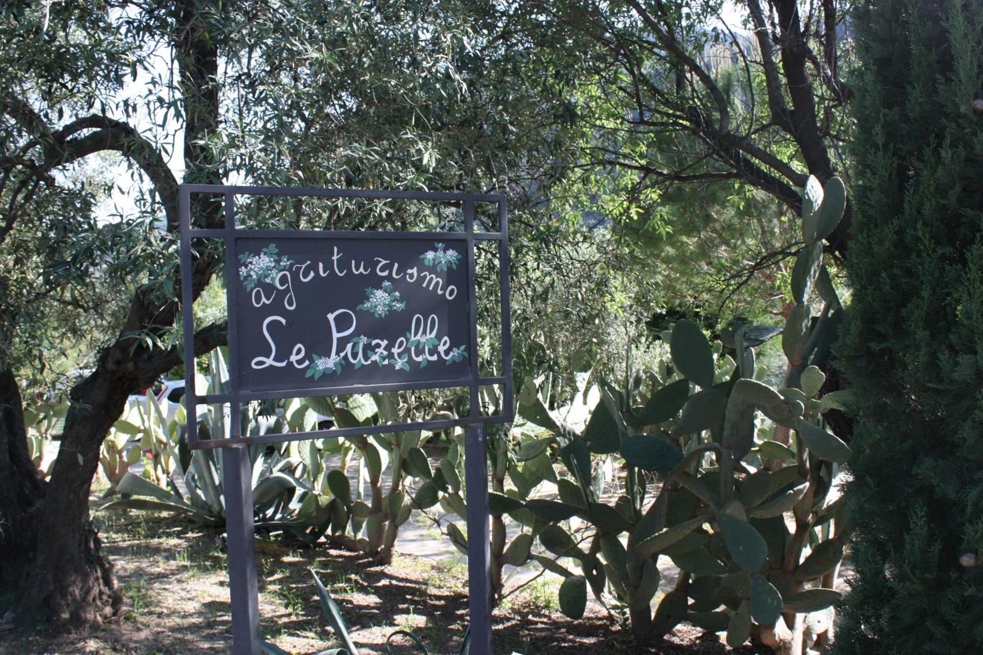 Azienda Agrituristica Biologica Il Querceto Santa Severina Exteriér fotografie