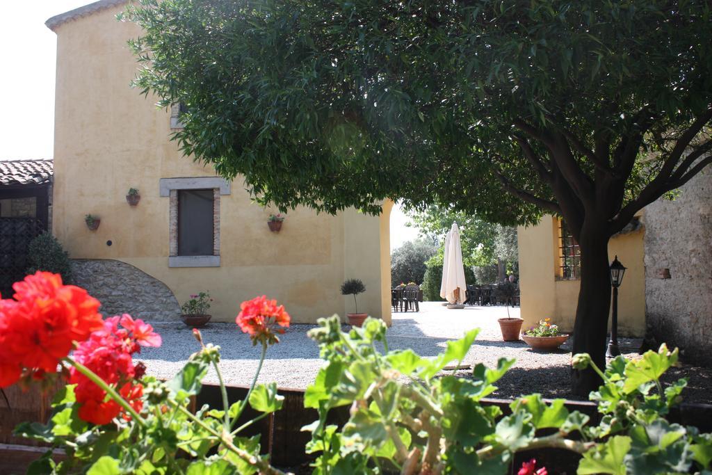 Azienda Agrituristica Biologica Il Querceto Santa Severina Exteriér fotografie