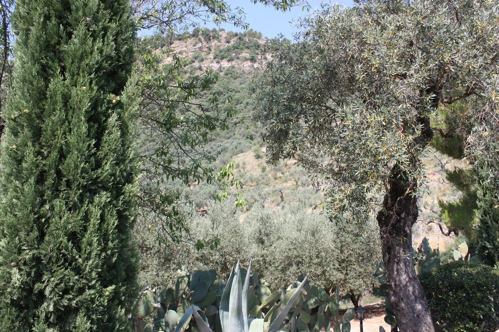 Azienda Agrituristica Biologica Il Querceto Santa Severina Exteriér fotografie