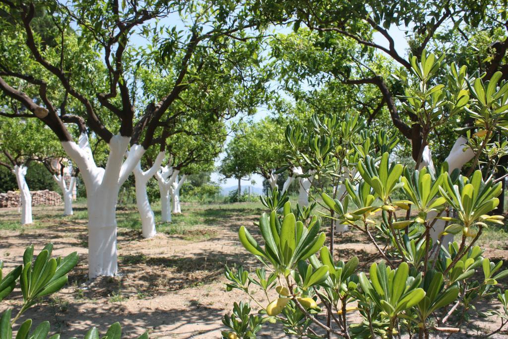 Azienda Agrituristica Biologica Il Querceto Santa Severina Exteriér fotografie