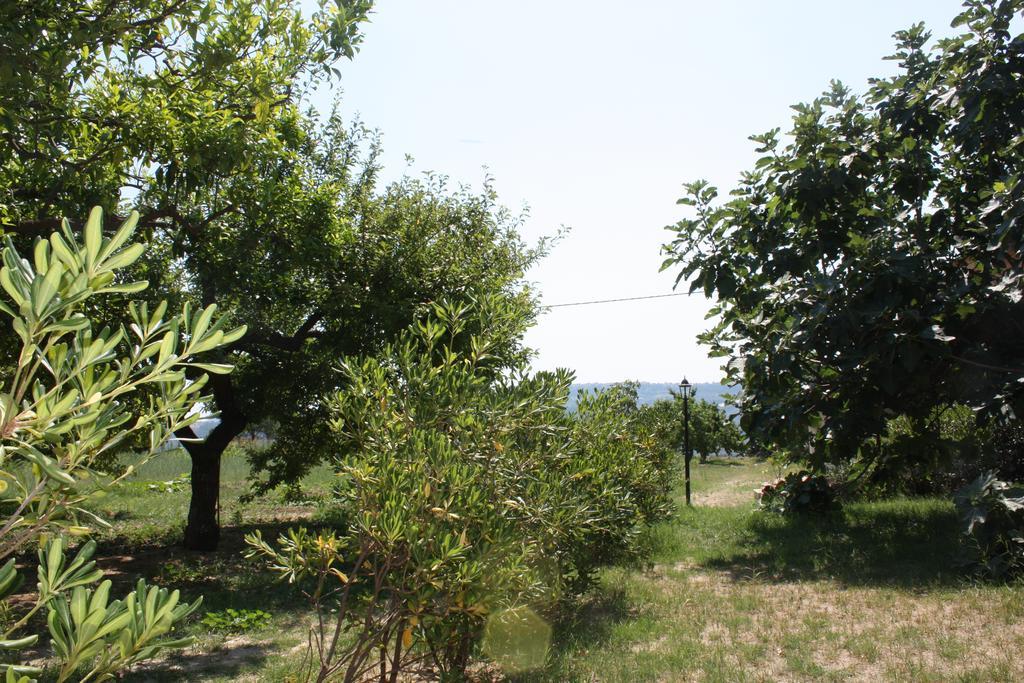 Azienda Agrituristica Biologica Il Querceto Santa Severina Exteriér fotografie