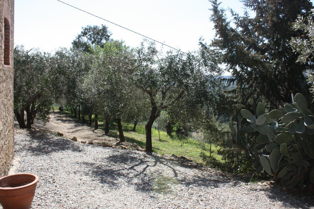 Azienda Agrituristica Biologica Il Querceto Santa Severina Exteriér fotografie