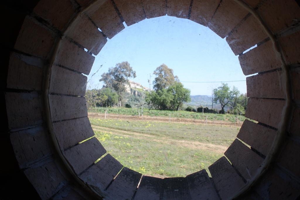 Azienda Agrituristica Biologica Il Querceto Santa Severina Exteriér fotografie