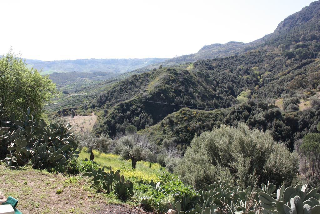 Azienda Agrituristica Biologica Il Querceto Santa Severina Exteriér fotografie