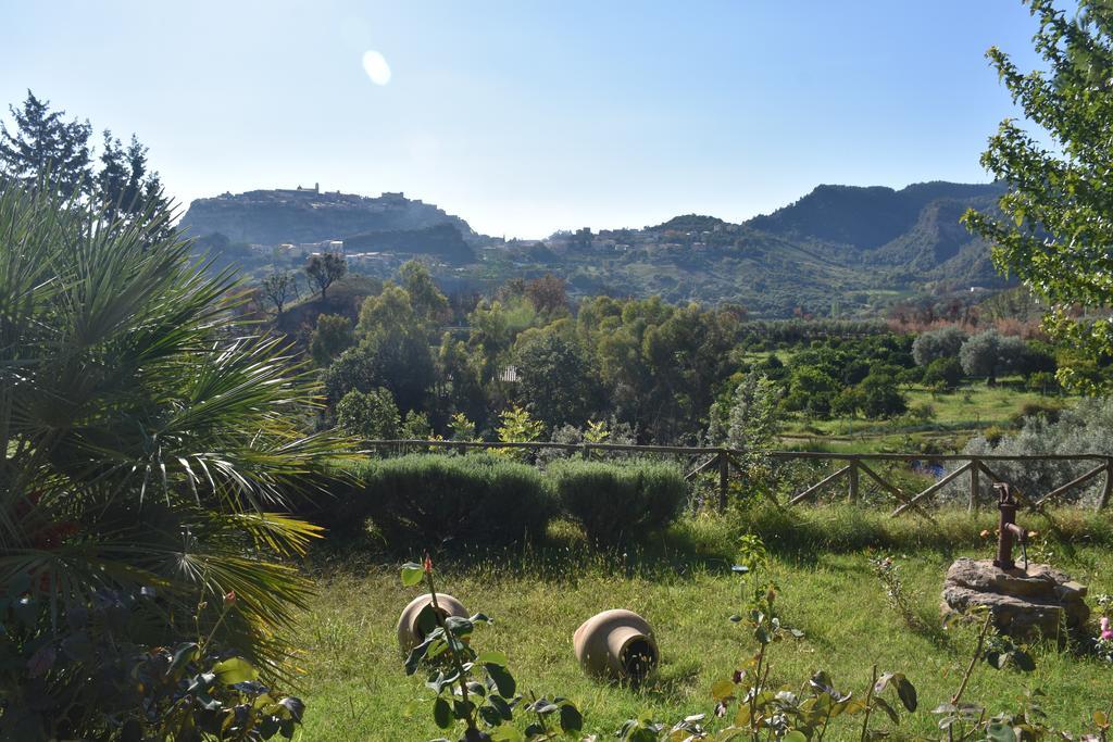 Azienda Agrituristica Biologica Il Querceto Santa Severina Exteriér fotografie