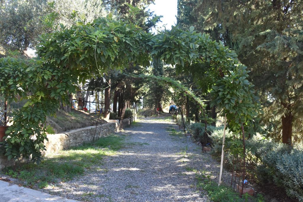 Azienda Agrituristica Biologica Il Querceto Santa Severina Exteriér fotografie