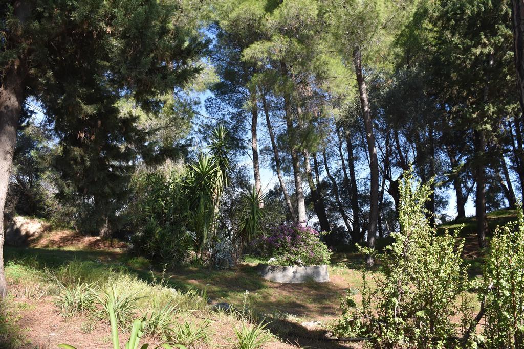 Azienda Agrituristica Biologica Il Querceto Santa Severina Exteriér fotografie